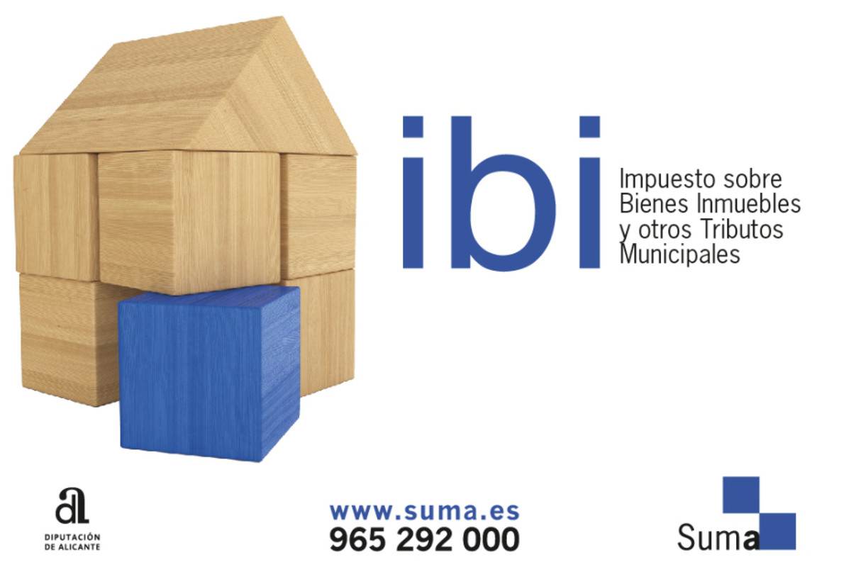 IBI Council Tax (SUMA)